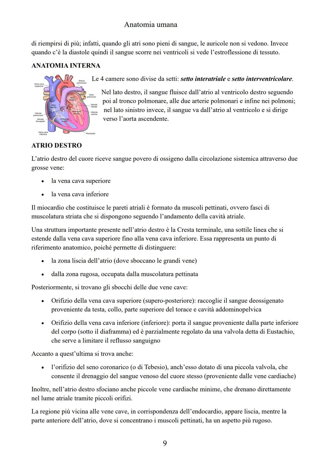 # ANATOMIA UMANA

(modulo: BASI BIOMORFOLOGICHE E FUNZIONALI DEL CORPO UMANO) # Anatomia umana

# ANATOMIA: introduzione

Scienza che studia