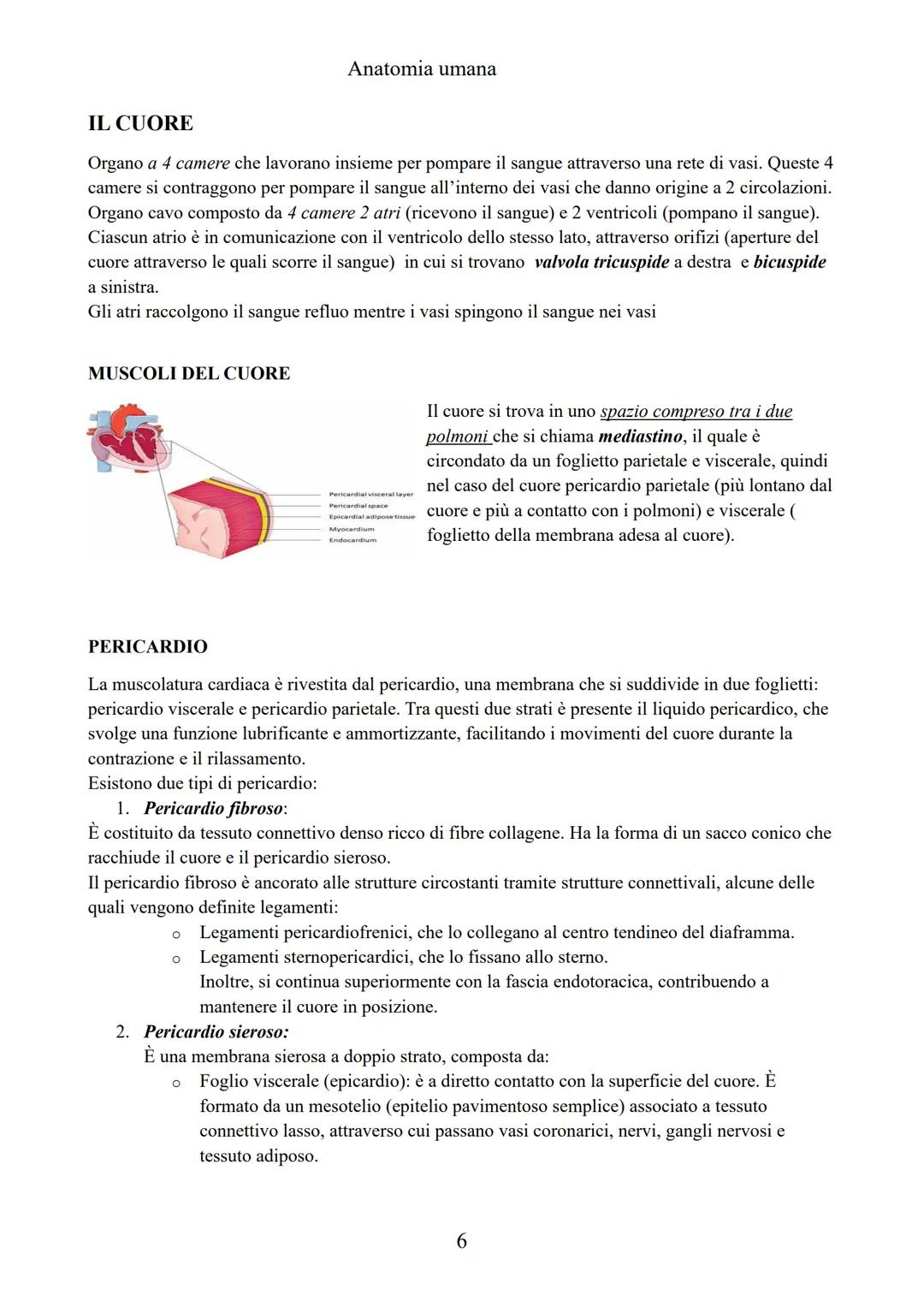 # ANATOMIA UMANA

(modulo: BASI BIOMORFOLOGICHE E FUNZIONALI DEL CORPO UMANO) # Anatomia umana

# ANATOMIA: introduzione

Scienza che studia