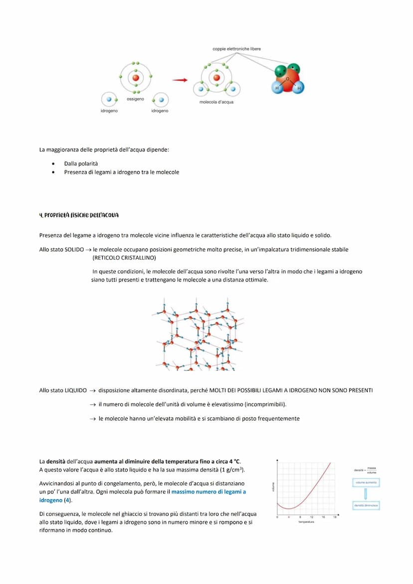 LA CHIMICA DELL'ACQUA
cap.8 vol1 e cap.5 vol2
1. Come si formano i LEGAmi Chimici
Il modo in cui un atomo reagisce chimicamente, è determina