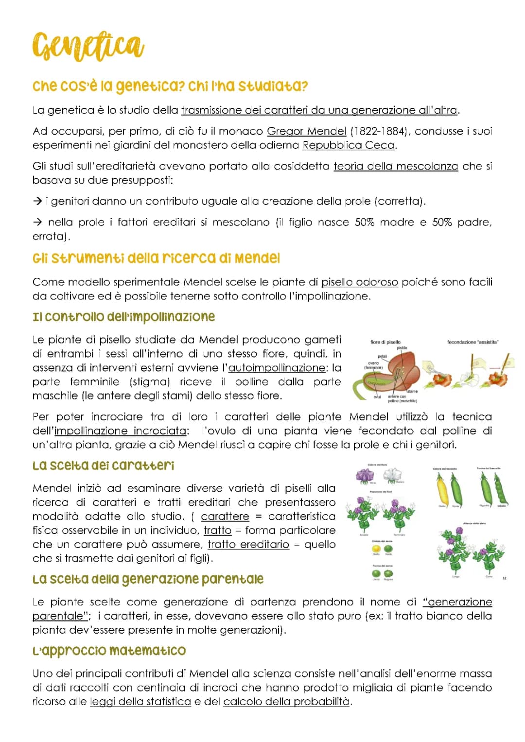 GENETICA-Mendel