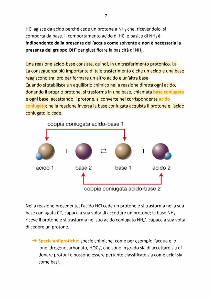 Acidi e basi
Argomenti:
→ Le teorie sugli acidi e sulle basi
➜ La teoria di Arrhenius
➜ La teoria di Brønsted e Lowry
→ La teoria di Lewis
→