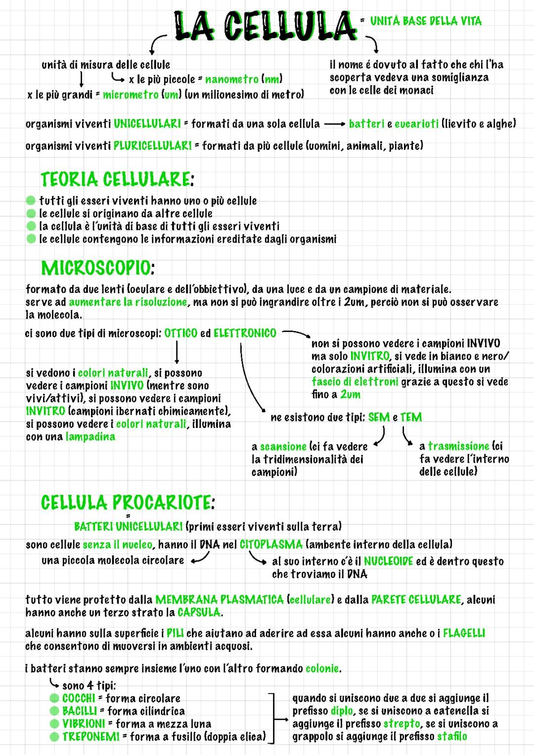 Cellula Procariote ed Eucariote: Differenze, Struttura e Teoria Cellulare