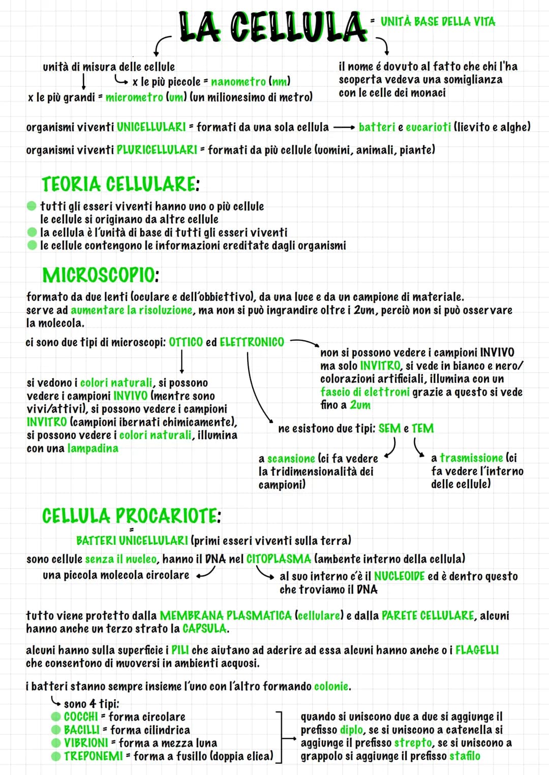 unità di misura delle cellule
LA CELLULA
x le più piccole = nanometro (nm)
x le più grandi - micrometro (um) (un milionesimo di metro)
TEORI