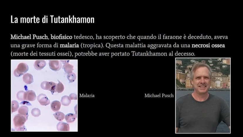 La Valle dei Re
Tutankhamon Chi era Tutankhamon?
Tutankhamon era un giovane Faraone della XVIII dinastia. Era un sovrano molto
giovane ed è 
