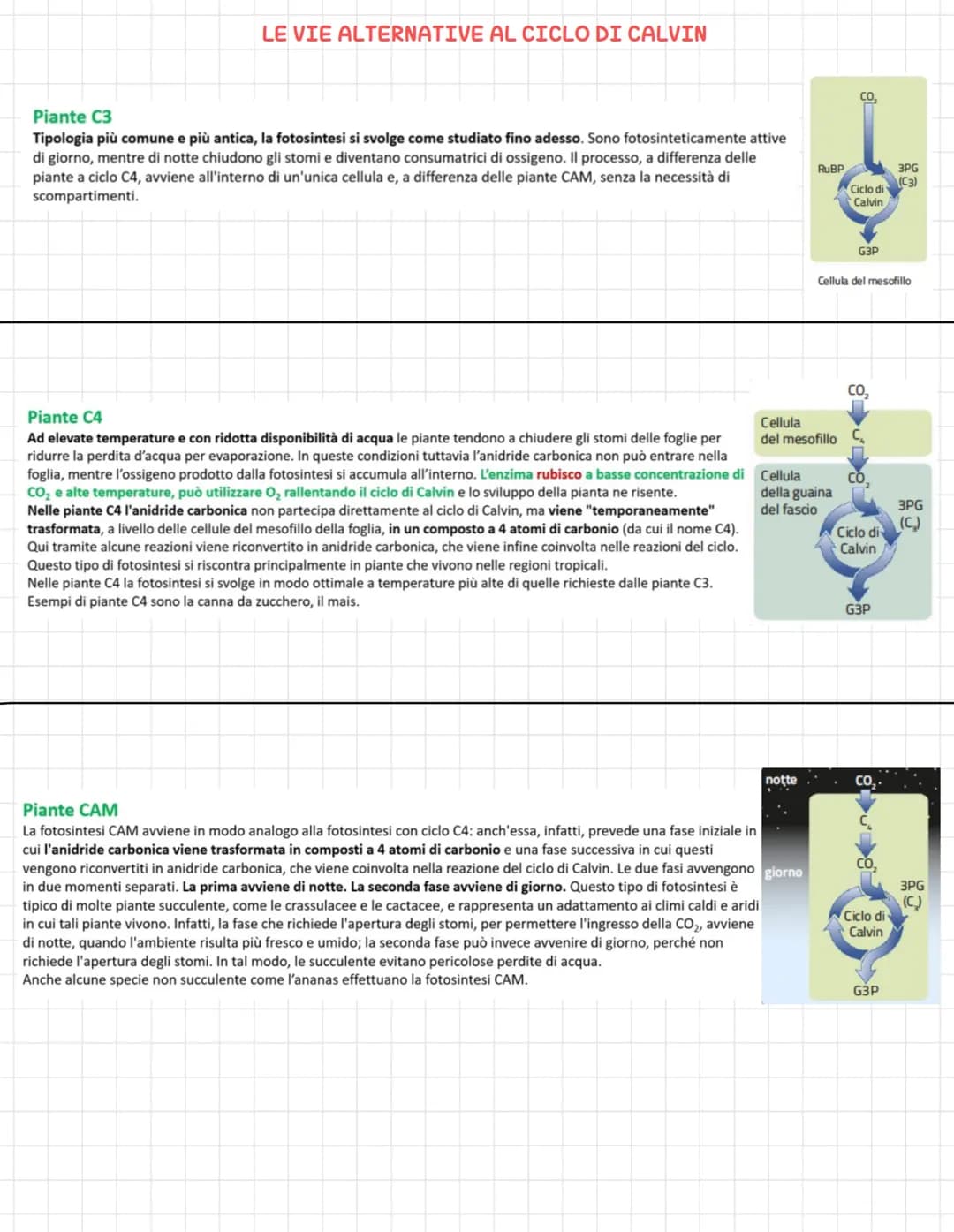 LA FOTOSINTESI
Gli organismi fotoautotrofi sono in grado di svolgere la fotosintesi (processo opposto alla respirazione
cellulare), in cui l