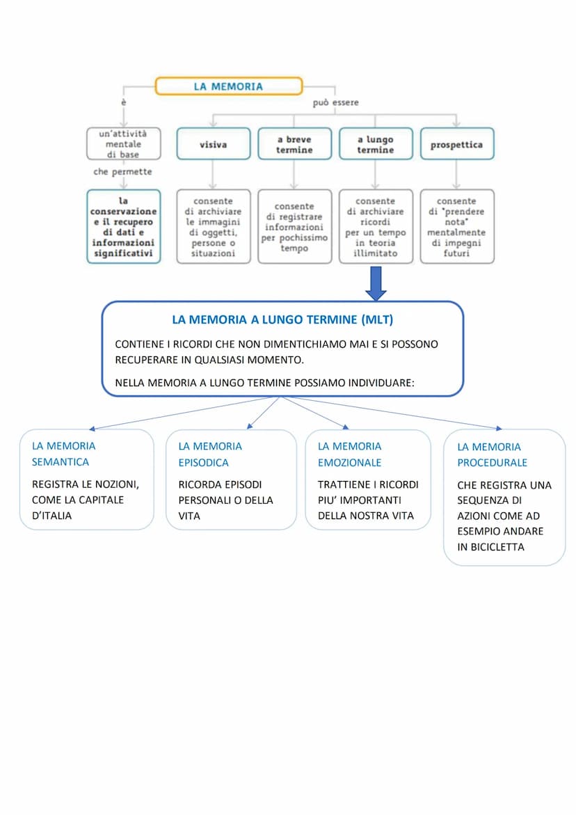 4
LE ATTIVITÀ COGNITIVE:
MEMORIA
E APPRENDIMENTO
LA SINTESI
Che cos'è la memoria? La memoria è l'attività mentale con cui
conserviamo i dati