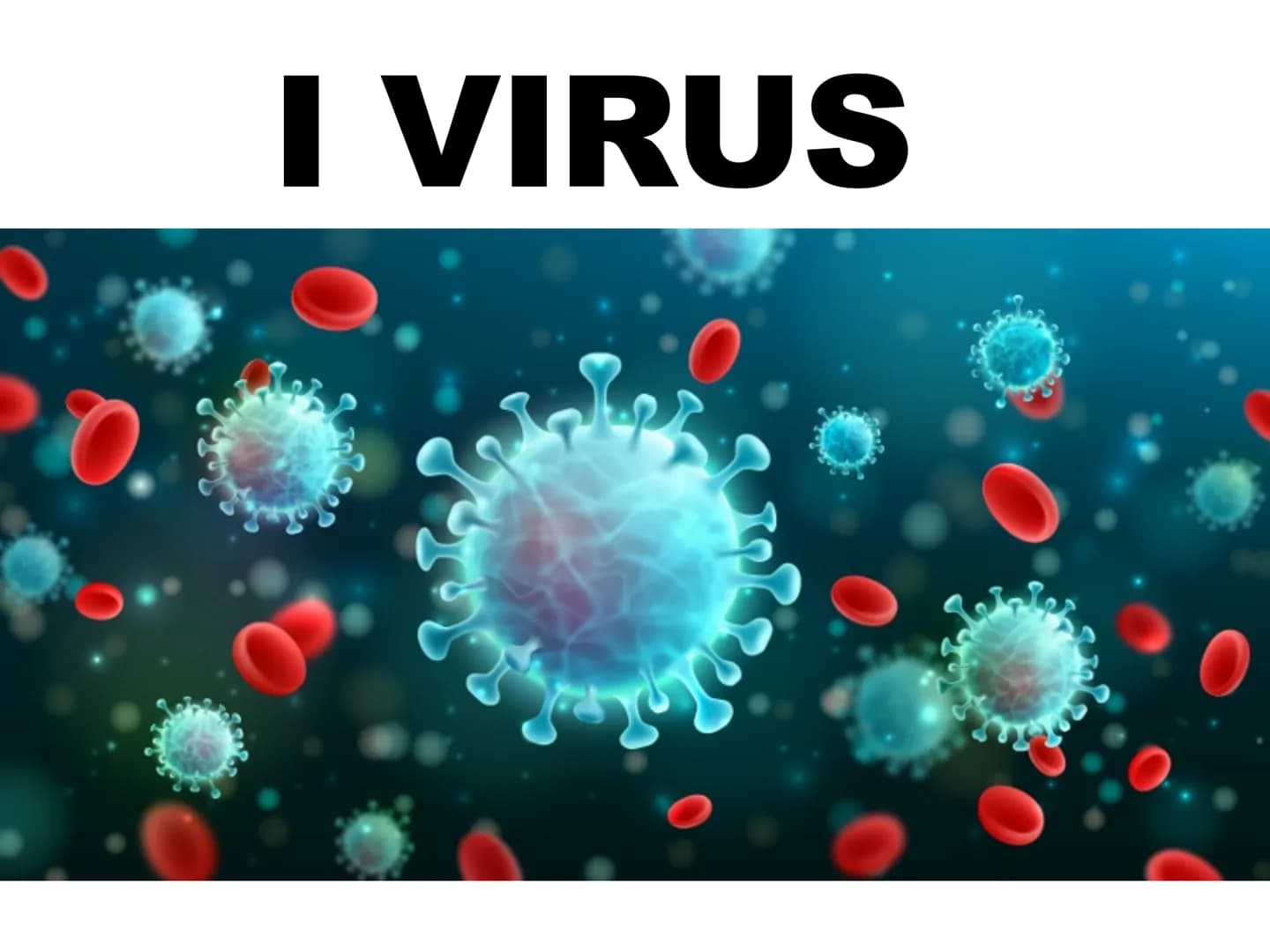 PO.
0.
I VIRUS
y atomo
0,1 nm
amminoacido
1 nm
proteina
10 nm
virus
cloroplasto
batterio
1μm 10 μm
100 nm
microscopio elettronico
cellule an