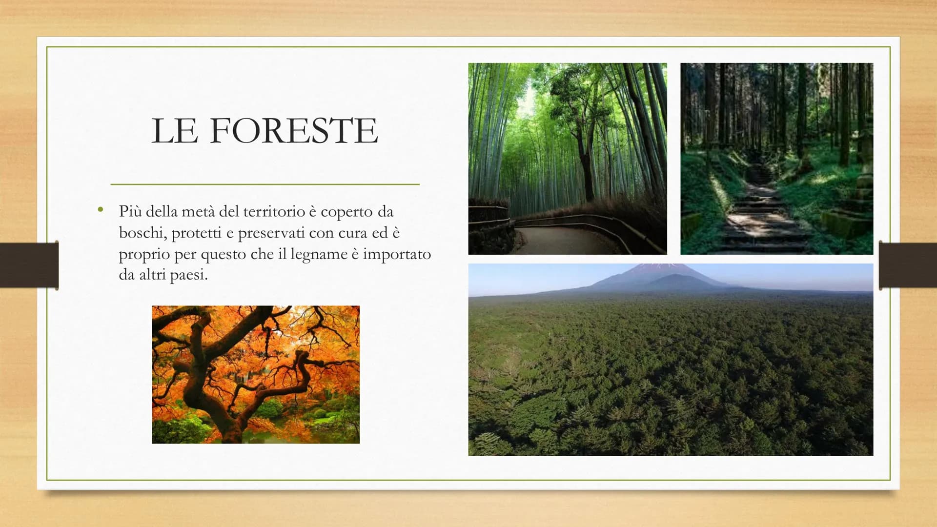 
<p>Il Giappone è un arcipelago vulcanico, costituito da oltre tremila isole. Le principali sono Hokkaido, Honshu, Shikoku e Kyushu e centos