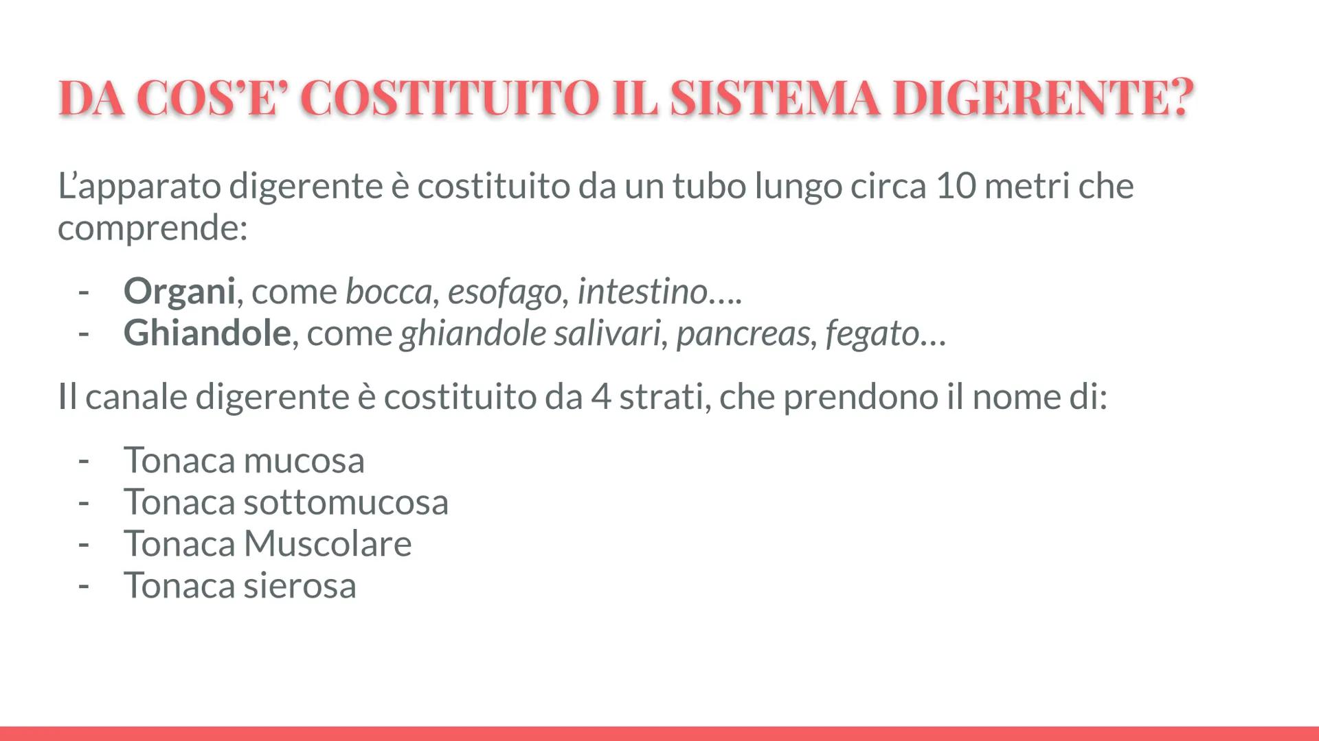 Esófago

Fegato

Colecisti
Duodeno

Stomaco

Intestino crasso

Intestino
terme

L'APPARATO
DIGERENTE # COS'E' L'APPARATO DIGERENTE?

L'appar
