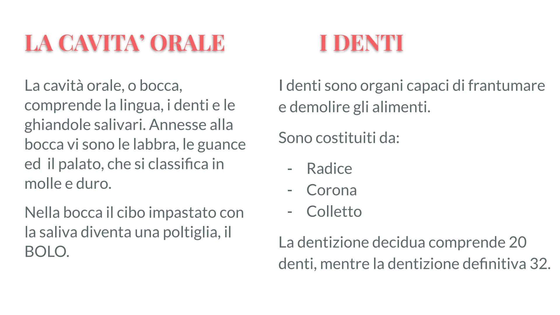 Esófago

Fegato

Colecisti
Duodeno

Stomaco

Intestino crasso

Intestino
terme

L'APPARATO
DIGERENTE # COS'E' L'APPARATO DIGERENTE?

L'appar