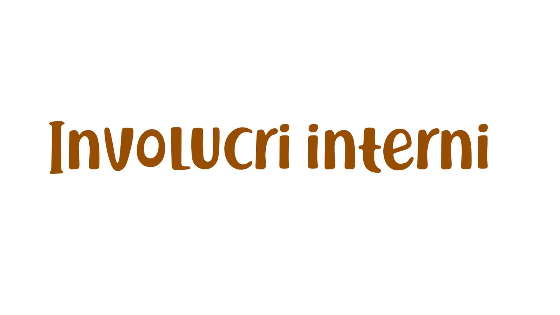 La struttura
DEL SOLE Involucri interni
NUCLEO
La regione centrale del Sole.
ZONA RADIAtiva
Qui avviene la trasmissione di
energia per irrag