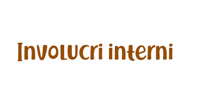 La struttura
DEL SOLE Involucri interni
NUCLEO
La regione centrale del Sole.
ZONA RADIAtiva
Qui avviene la trasmissione di
energia per irrag