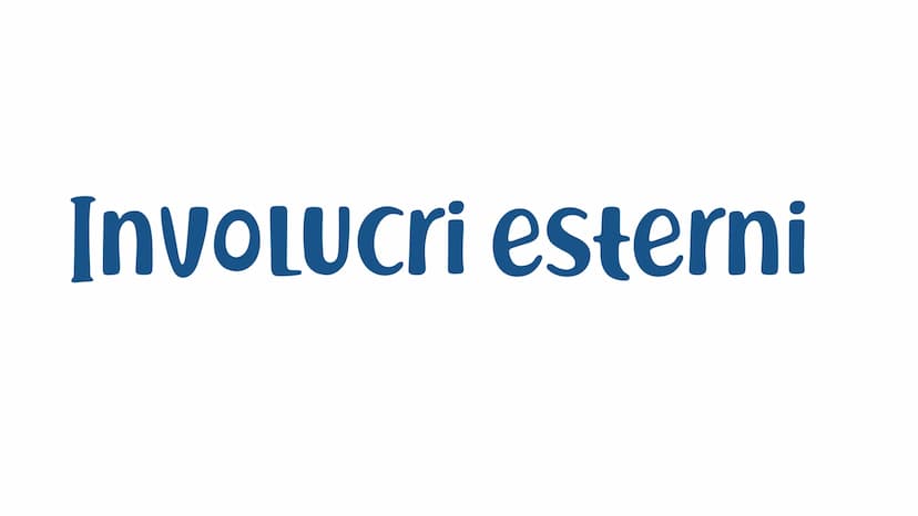 La struttura
DEL SOLE Involucri interni
NUCLEO
La regione centrale del Sole.
ZONA RADIAtiva
Qui avviene la trasmissione di
energia per irrag