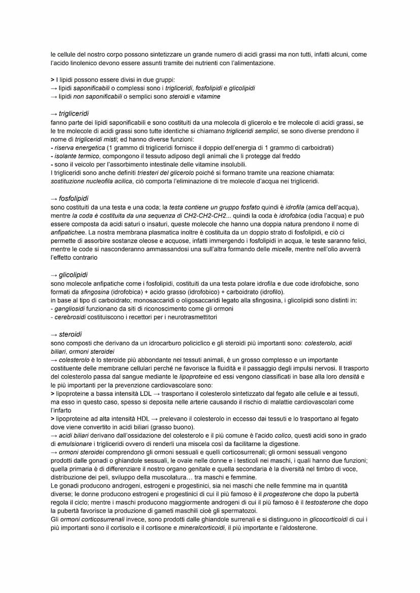 BIOLOGIA ATOMO
è la parte più piccola della materia che a sua volta è formata da delle particelle subatomiche che si trovano al suo
interno,