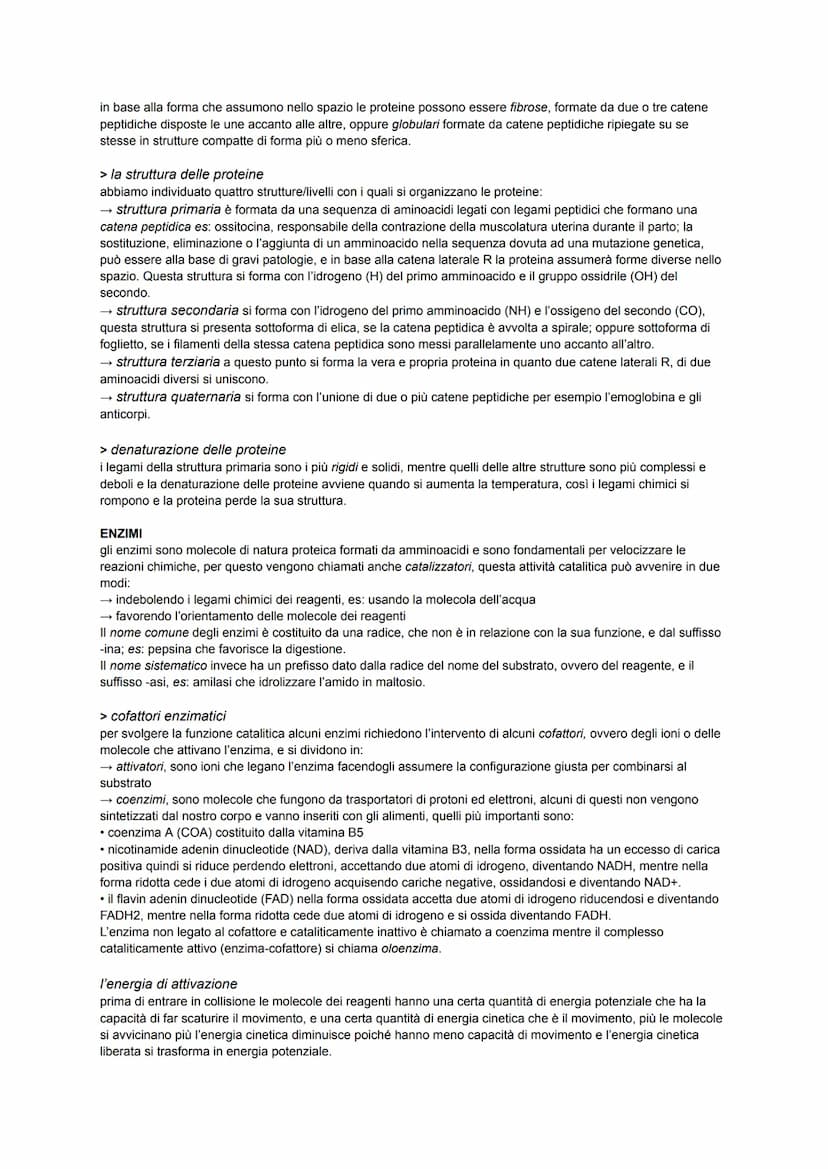 BIOLOGIA ATOMO
è la parte più piccola della materia che a sua volta è formata da delle particelle subatomiche che si trovano al suo
interno,