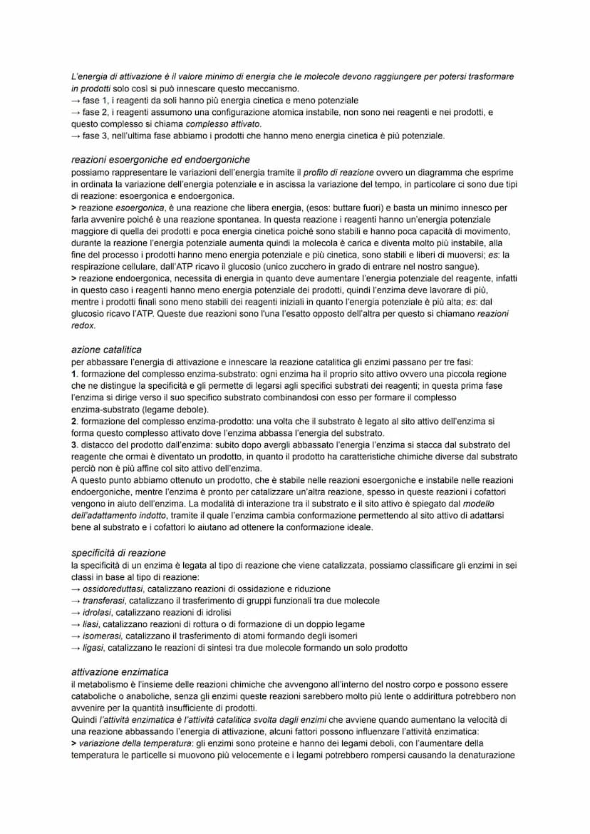 BIOLOGIA ATOMO
è la parte più piccola della materia che a sua volta è formata da delle particelle subatomiche che si trovano al suo
interno,