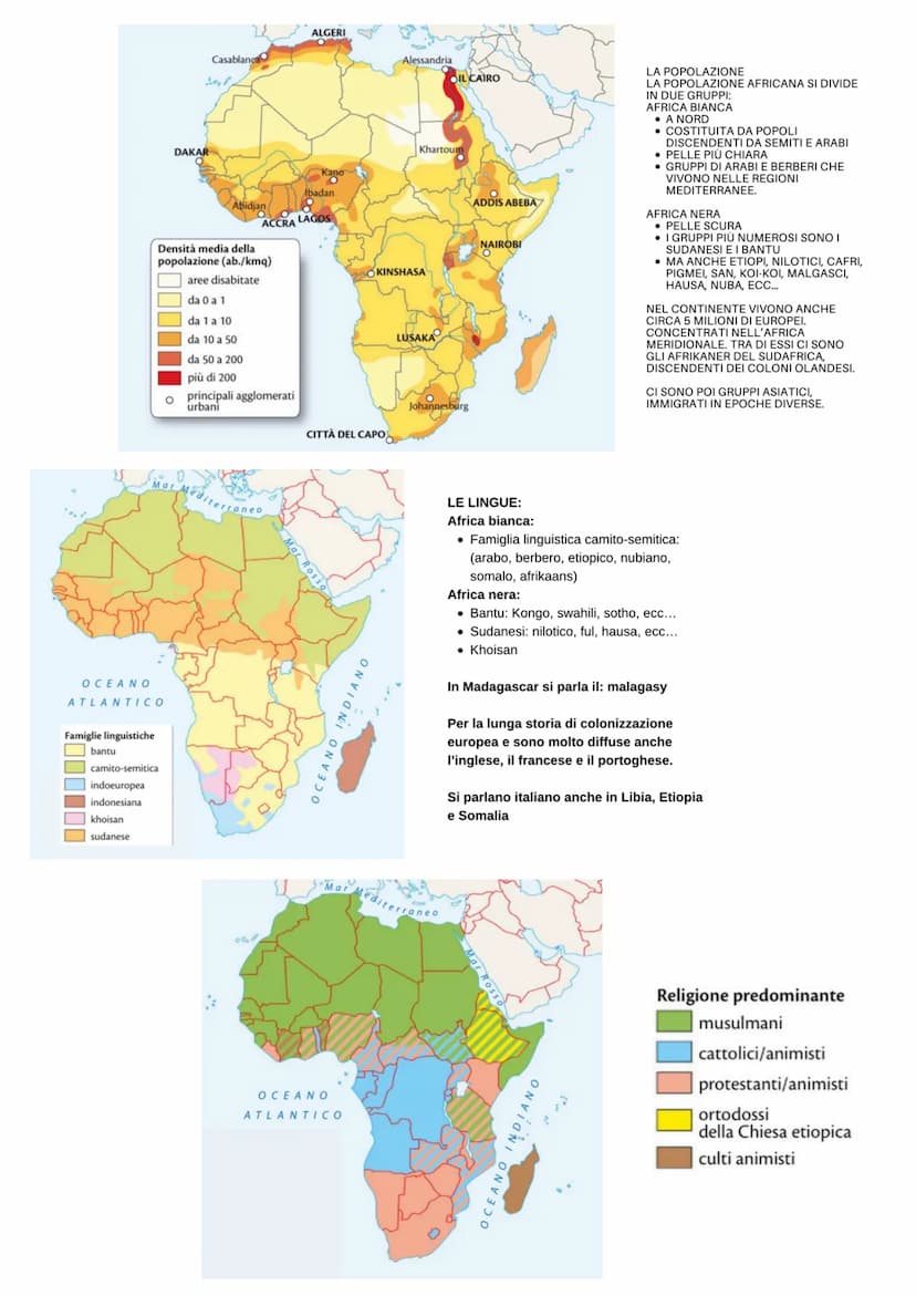 L'Africa
Coste basse e poco articolate
L'Africa si affaccia al nord sul Mediterraneo, a nord-est
sul Mar Rosso, a sud-est con l'oceano india