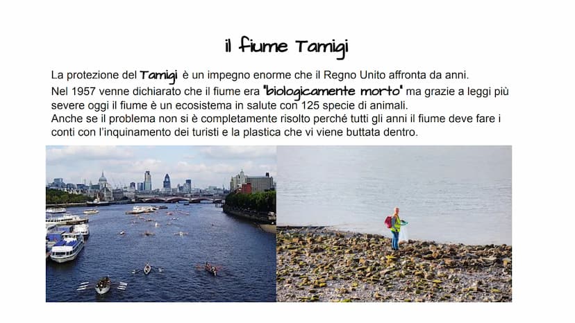 Regno Unito 50
O
S
C
OCEANO
B
IRLANDA
75
Km
C. En Ballina
12807
Baia di
Donegal
Castlebag
Westport
O
4
Galway
Baia di Galway
Kenmare
Ennis
T