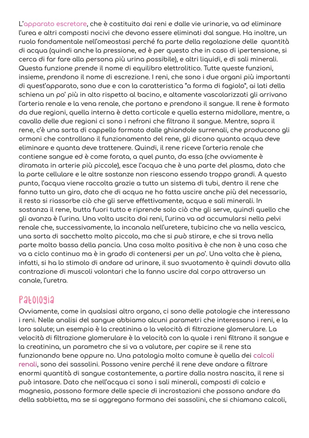 L'APPARATO excretore
Per mantenere l'omeostasi, gli esseri umani, devono evitare che nel loro corpo si
accumulino sostanze di rifiuto, prodo
