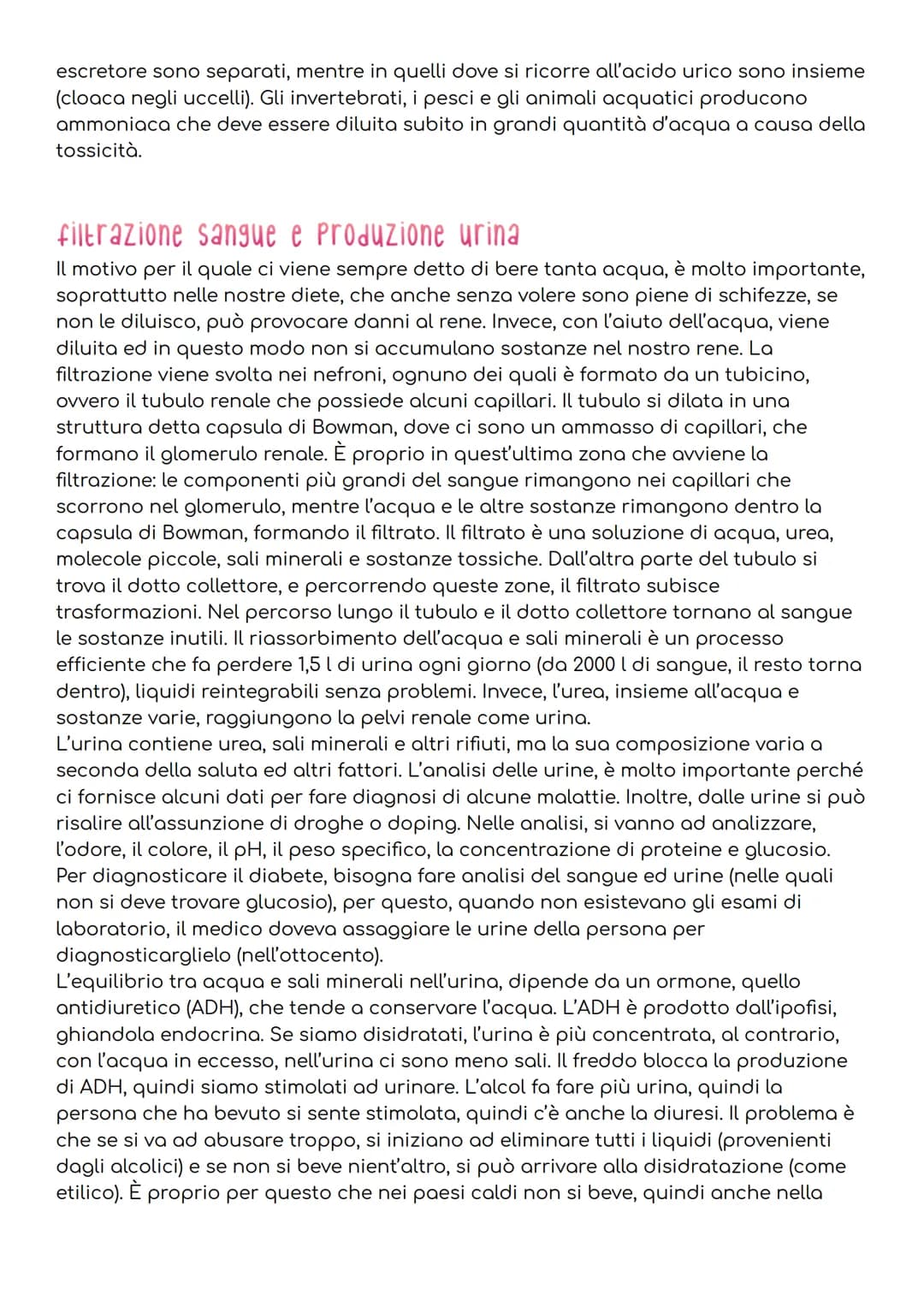 L'APPARATO excretore
Per mantenere l'omeostasi, gli esseri umani, devono evitare che nel loro corpo si
accumulino sostanze di rifiuto, prodo