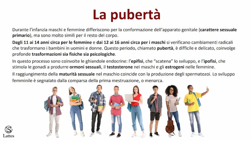 ********
S
Lattes La riproduzione S
Lattes
Che cos'è la riproduzione
La riproduzione è il processo attraverso il quale un organismo vivente 