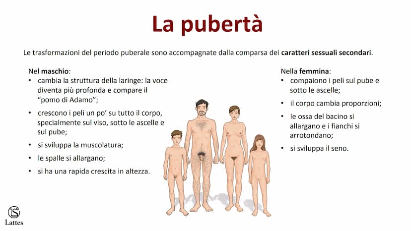 ********
S
Lattes La riproduzione S
Lattes
Che cos'è la riproduzione
La riproduzione è il processo attraverso il quale un organismo vivente 