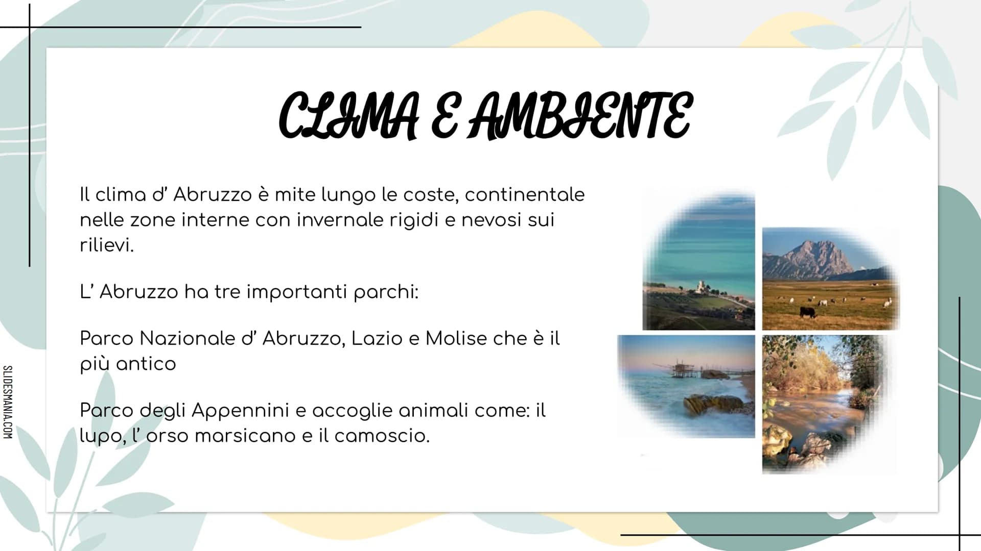 SLIDESHANIA.COM
278
LITERANE
MMMM
ALLA SCOPERTA DELL...
ABRUZZO SLIDESMANIA.COM
DOVE SI TROVA E CON CHI CONFINA
L'ABRUZZO?
L'Abruzzo confina