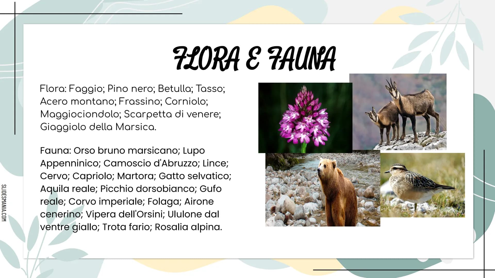 SLIDESHANIA.COM
278
LITERANE
MMMM
ALLA SCOPERTA DELL...
ABRUZZO SLIDESMANIA.COM
DOVE SI TROVA E CON CHI CONFINA
L'ABRUZZO?
L'Abruzzo confina