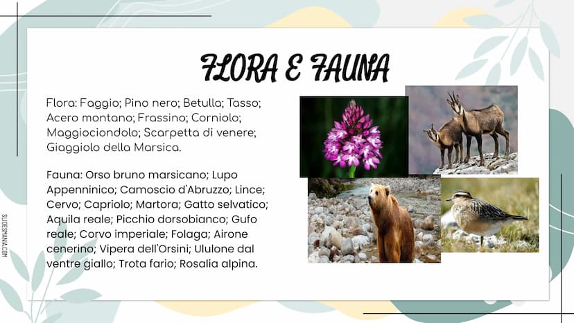 SLIDESHANIA.COM
278
LITERANE
MMMM
ALLA SCOPERTA DELL...
ABRUZZO SLIDESMANIA.COM
DOVE SI TROVA E CON CHI CONFINA
L'ABRUZZO?
L'Abruzzo confina