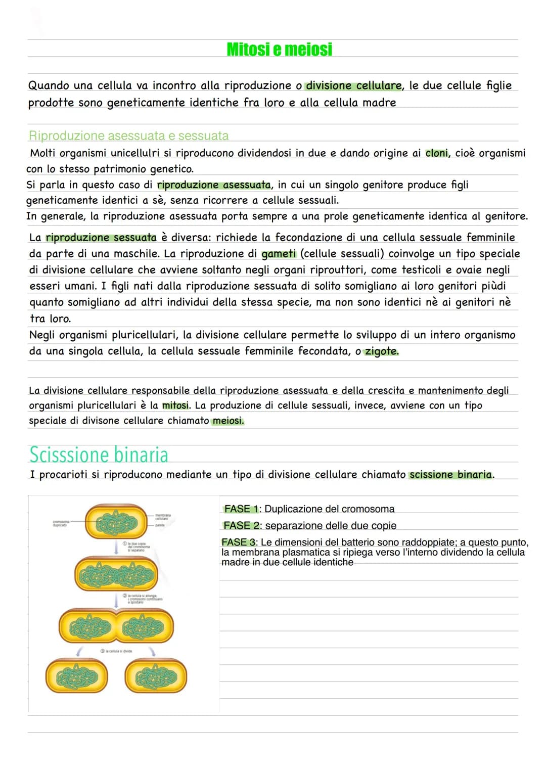 Quando una cellula va incontro alla riproduzione o divisione cellulare, le due cellule figlie
prodotte sono geneticamente identiche fra loro