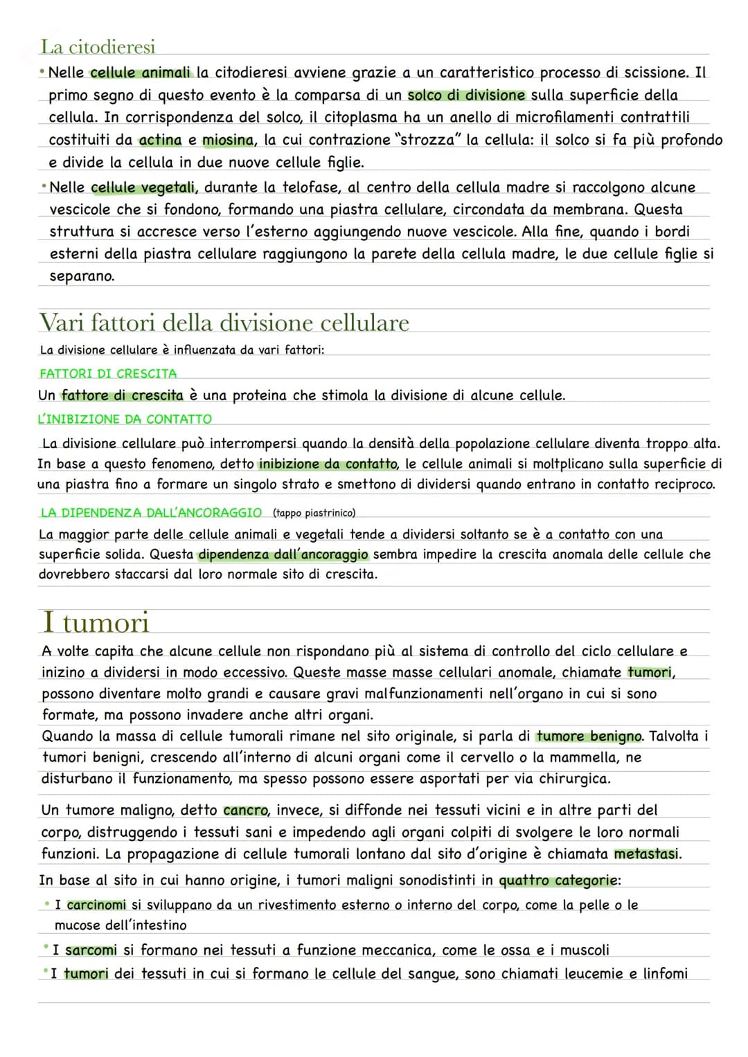 Quando una cellula va incontro alla riproduzione o divisione cellulare, le due cellule figlie
prodotte sono geneticamente identiche fra loro