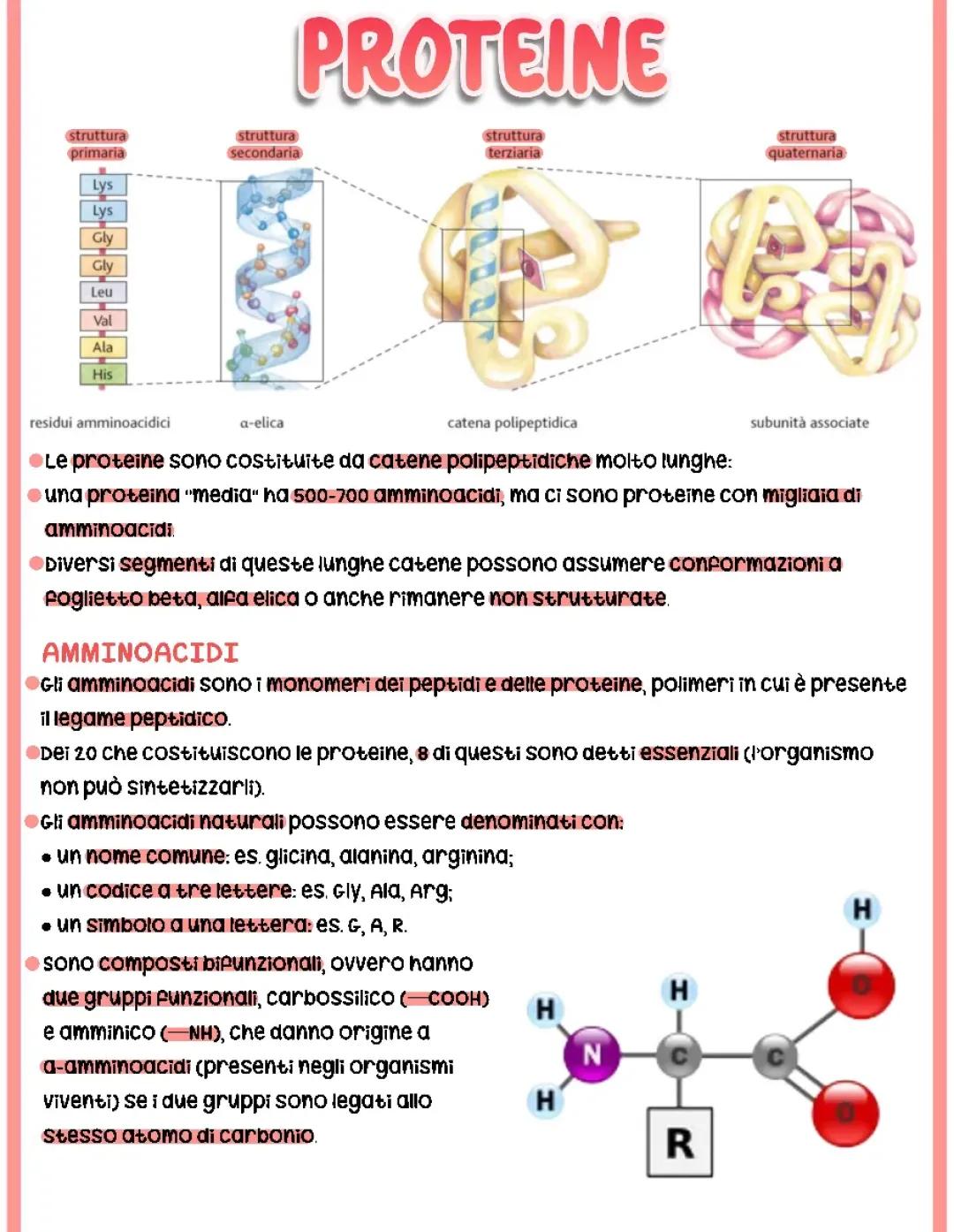 Proteine (amminoacidi, le 4 strutture, a-elica, B-foglietto, funzioni delle proteine)