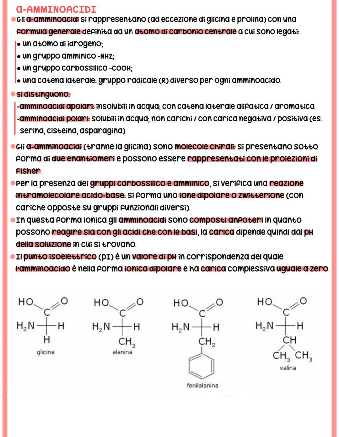 struttura
primaria
Lys
Lys
Gly
Gly
Leu
Val
Ala
His
PROTEINE
struttura
terziaria
struttura
secondaria
a-elica
residui amminoacidici
catena po
