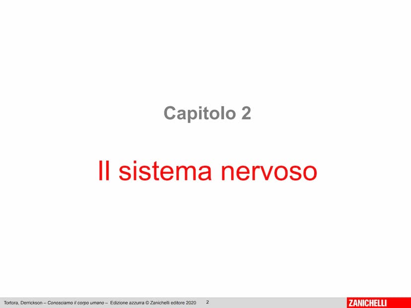 Gerard J. Tortora, Bryan Derrickson
Conosciamo
il corpo umano
Edizione azzurra - 2° ed
1
ZANICHELLI Capitolo 2
Il sistema nervoso
Tortora, D