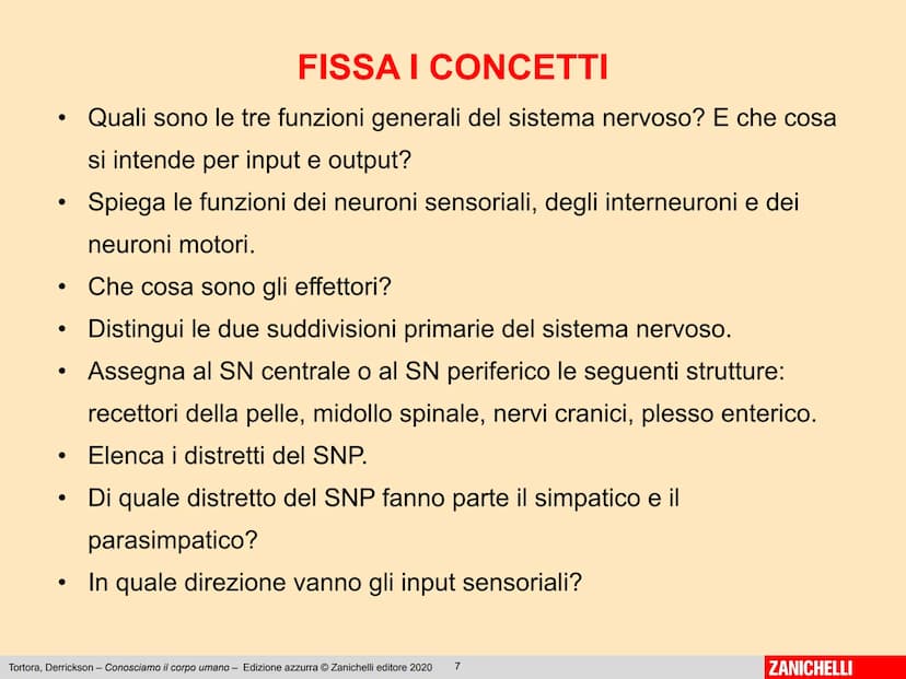 Gerard J. Tortora, Bryan Derrickson
Conosciamo
il corpo umano
Edizione azzurra - 2° ed
1
ZANICHELLI Capitolo 2
Il sistema nervoso
Tortora, D