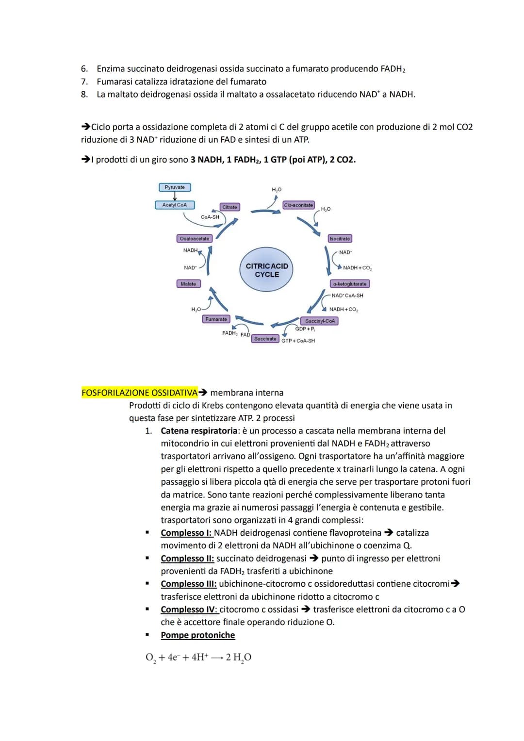 # IL METABOLISMO DEL GLUCOSIO: è comune a diversi organismi perché glucosio è ricco di energia
potenziale (da legami) e ottimo combustibile 