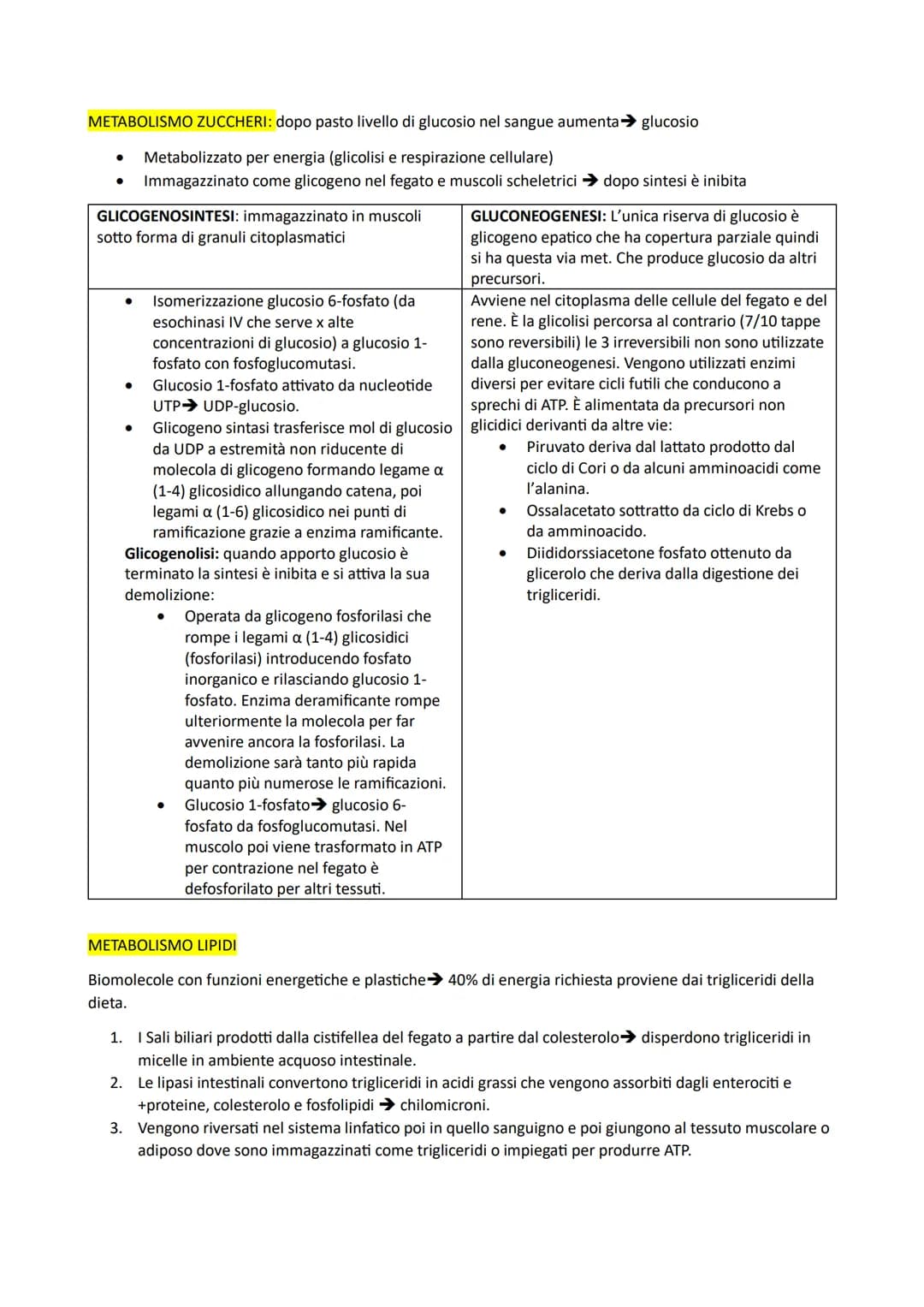# IL METABOLISMO DEL GLUCOSIO: è comune a diversi organismi perché glucosio è ricco di energia
potenziale (da legami) e ottimo combustibile 
