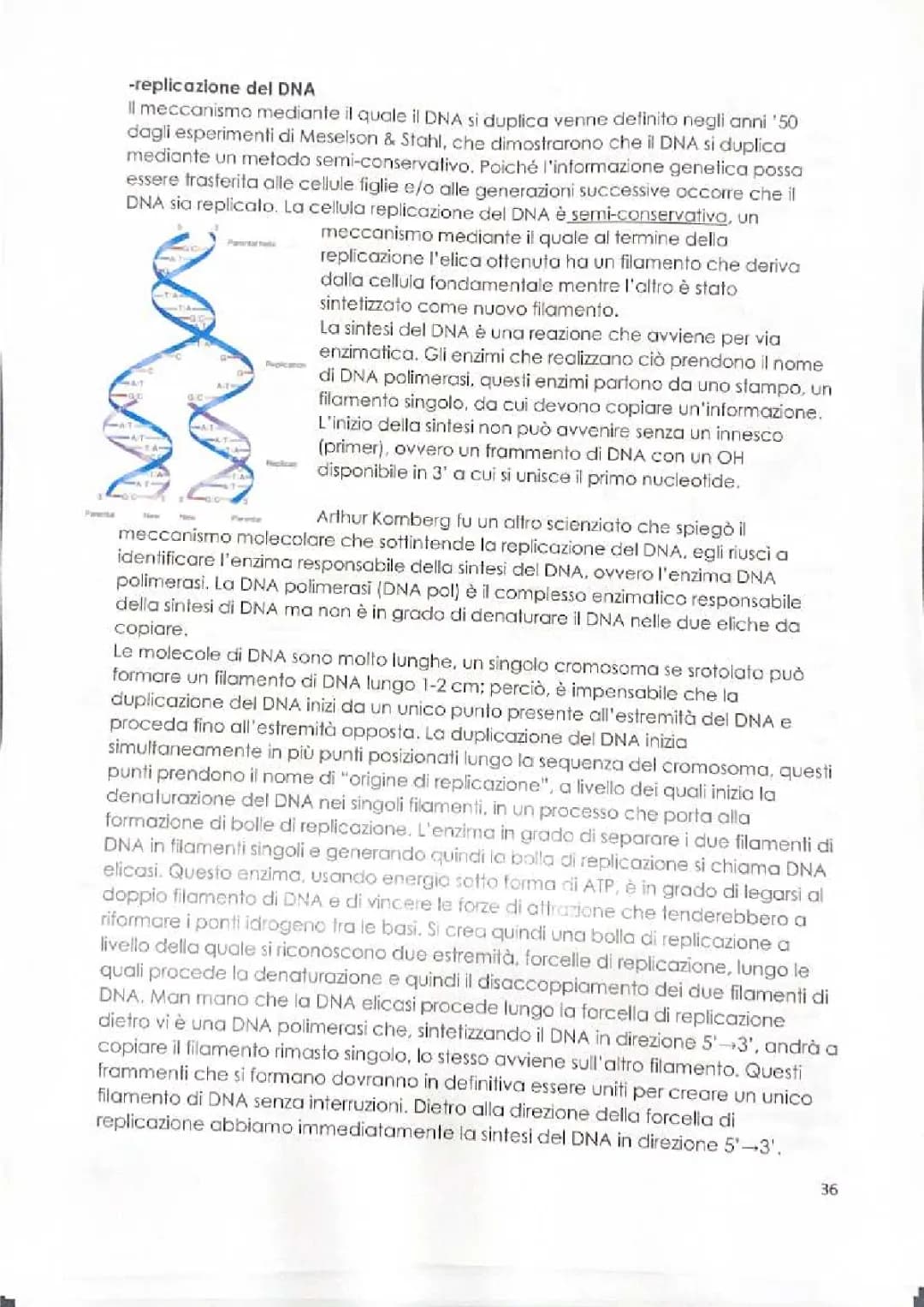 REPLICAZIONE DNA, TRASCRIZIONE E TRADUZIONE