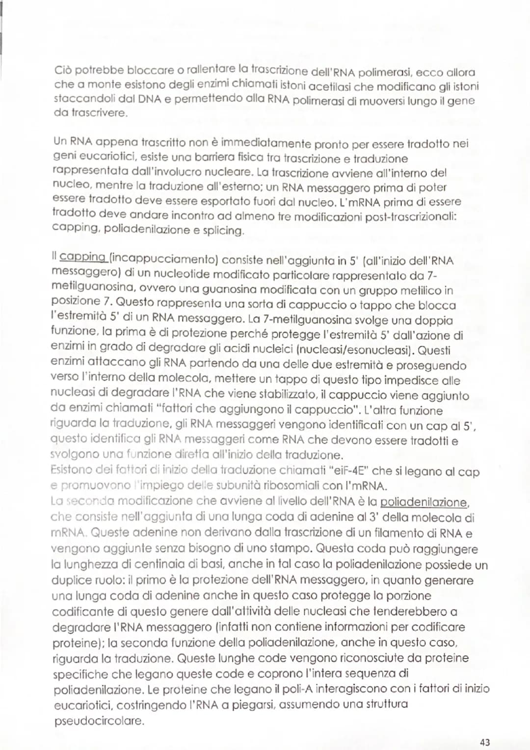 -replicazione del DNA
Il meccanismo mediante il quale il DNA si duplica venne definito negli anni '50
dagli esperimenti di Meselson & Stahl,