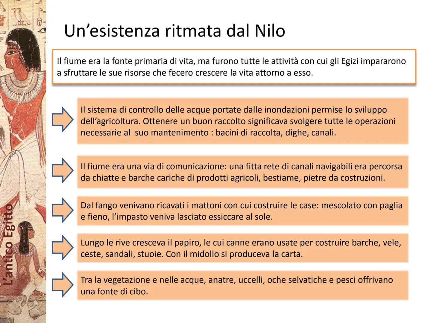 S VAMO
L'antico Egitto
ANA SA L'antico Egitto
L'Egitto dono del Nilo
rivoluzione neolitica attorno al 4500 a.C.
L
rapido aumento della popol