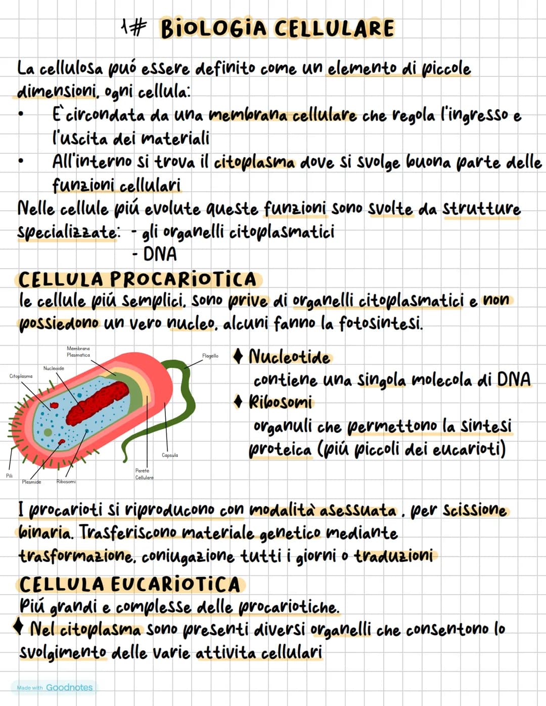 #BIOLOGIA CELLULARE
La cellulosa può essere definito come un elemento di piccole
dimensioni, ogni cellula:
E circondata da una membrana cell