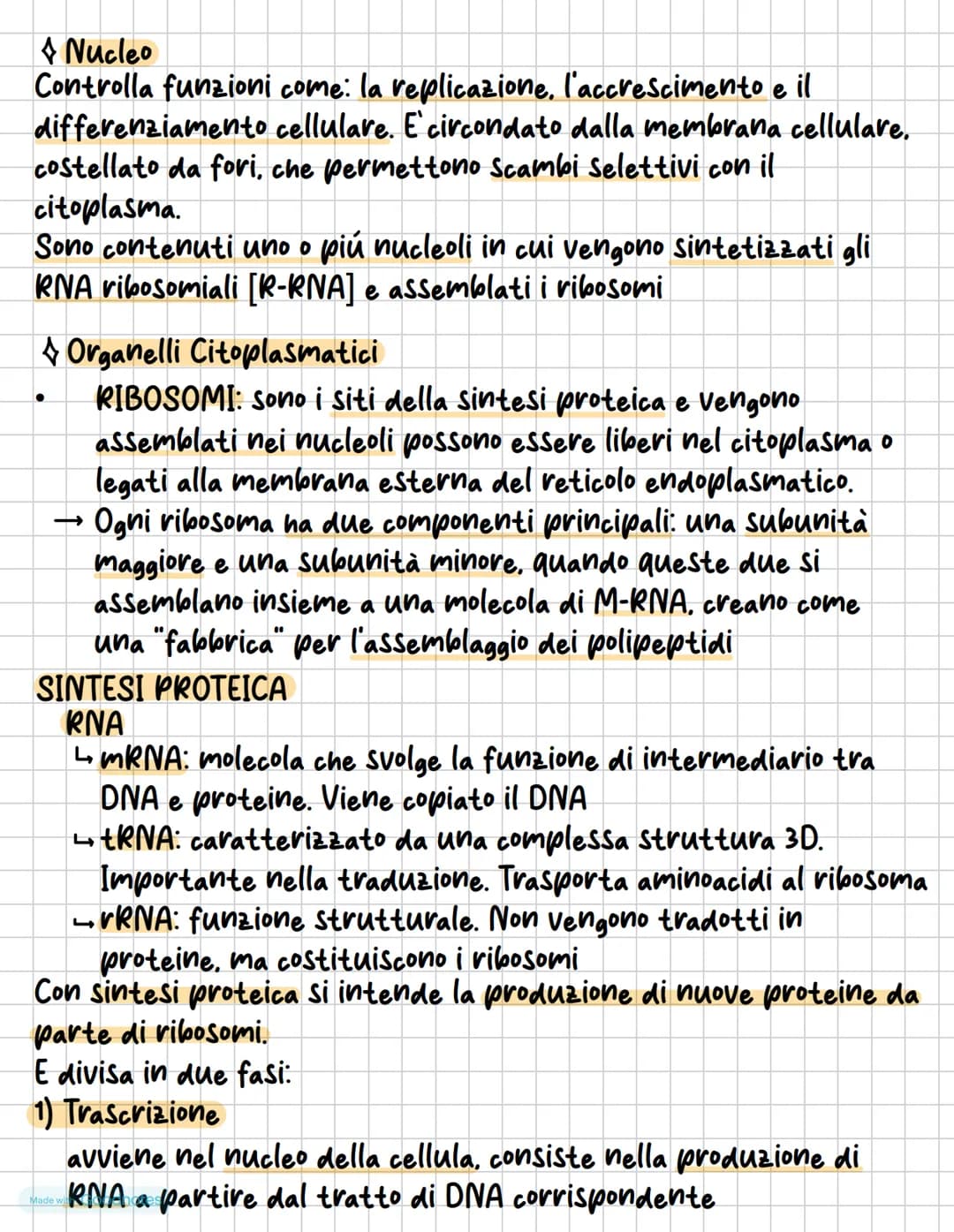 #BIOLOGIA CELLULARE
La cellulosa può essere definito come un elemento di piccole
dimensioni, ogni cellula:
E circondata da una membrana cell
