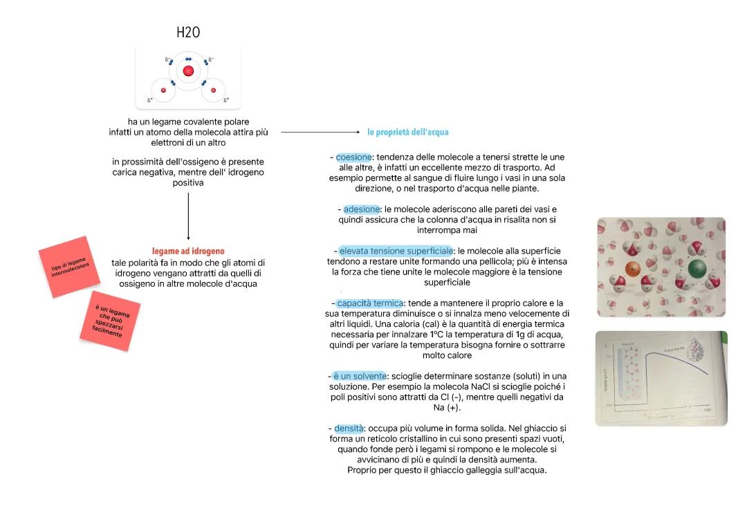 H2O e le sue proprietà 