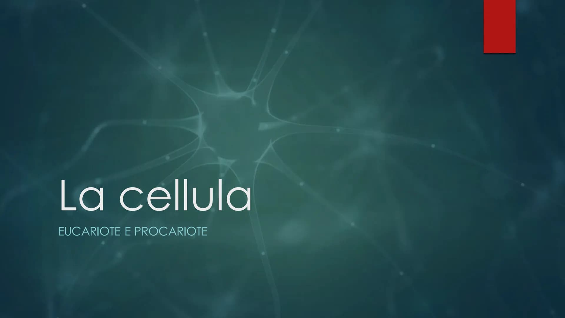 La cellula
EUCARIOTE E PROCARIOTE Evoluzione
procariote a eucariote
della cellula da
Esistono due teorie, la prima è la TEORIA ENDOSIMBIONTI