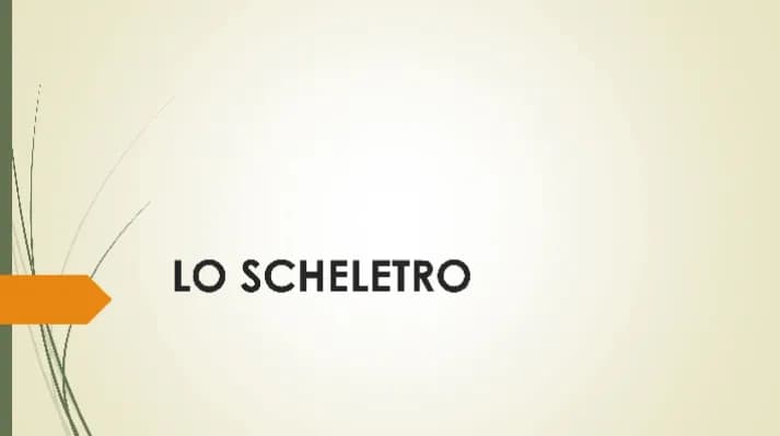 Know Lo Scheletro thumbnail