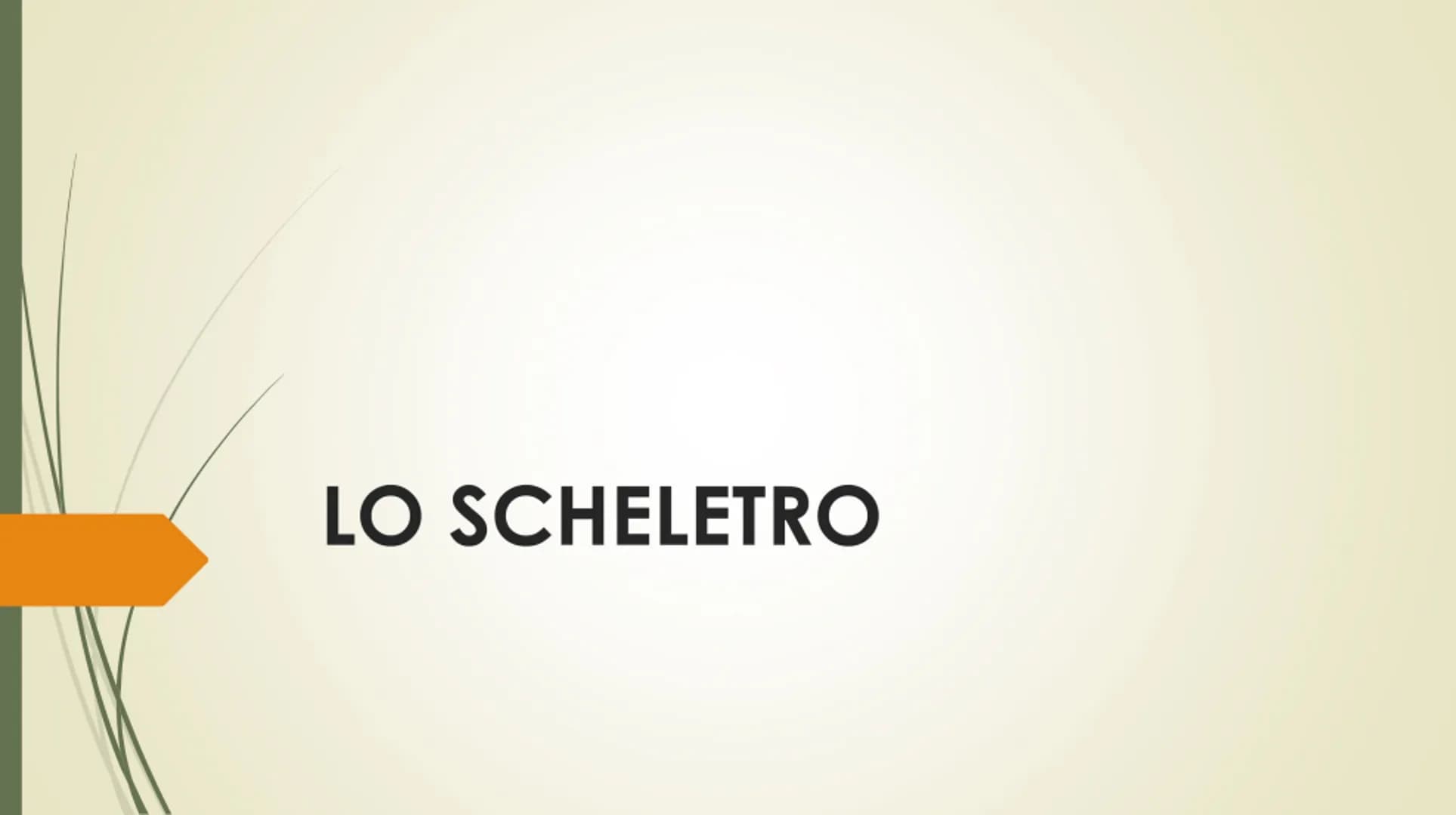 
<p>Il nostro corpo è sostenuto e protetto da una struttura chiamata scheletro, composta da un totale di 206 ossa collegate tra loro da arti