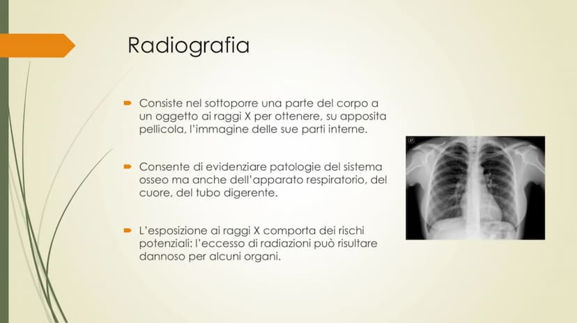 
<p>Il nostro corpo è sostenuto e protetto da una struttura chiamata scheletro, composta da un totale di 206 ossa collegate tra loro da arti