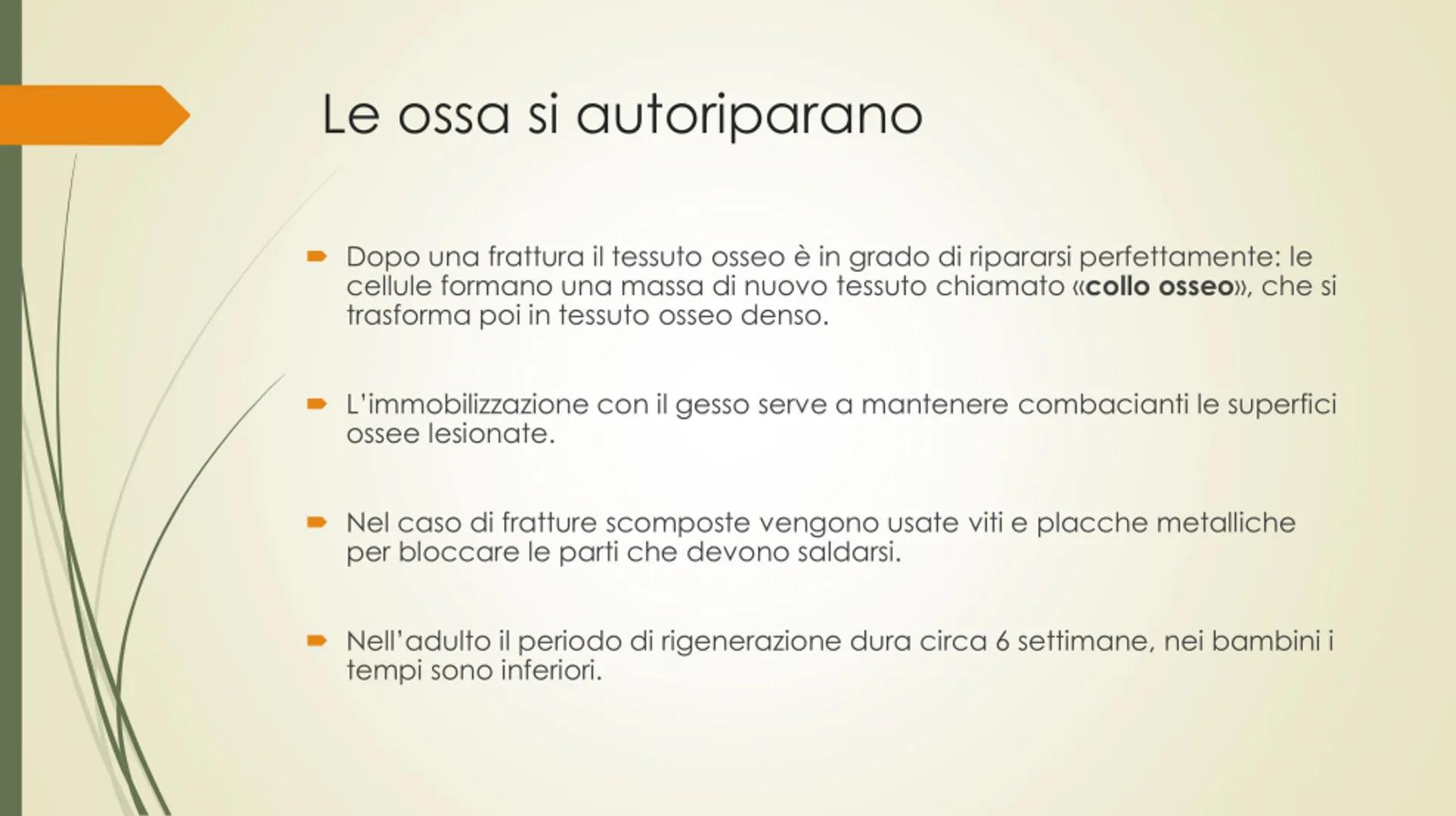 
<p>Il nostro corpo è sostenuto e protetto da una struttura chiamata scheletro, composta da un totale di 206 ossa collegate tra loro da arti