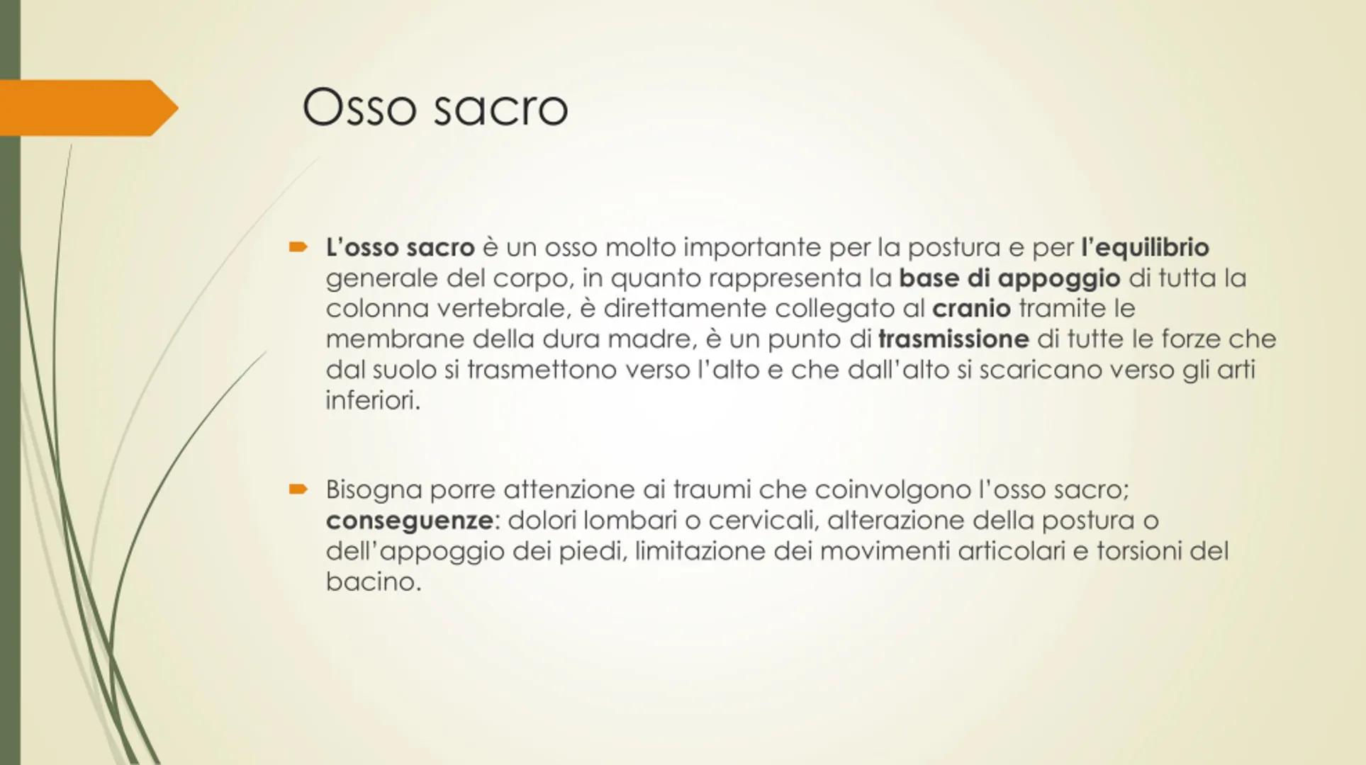 
<p>Il nostro corpo è sostenuto e protetto da una struttura chiamata scheletro, composta da un totale di 206 ossa collegate tra loro da arti