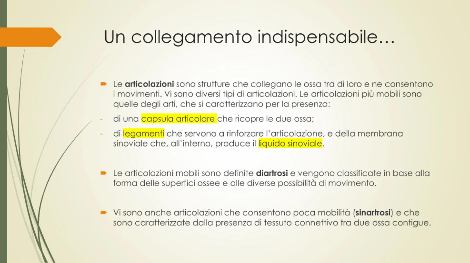 
<p>Il nostro corpo è sostenuto e protetto da una struttura chiamata scheletro, composta da un totale di 206 ossa collegate tra loro da arti